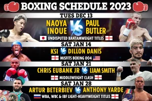 Boxing Schedule: Upcoming Fight Dates, TV Channels, and Live Streaming Details-2